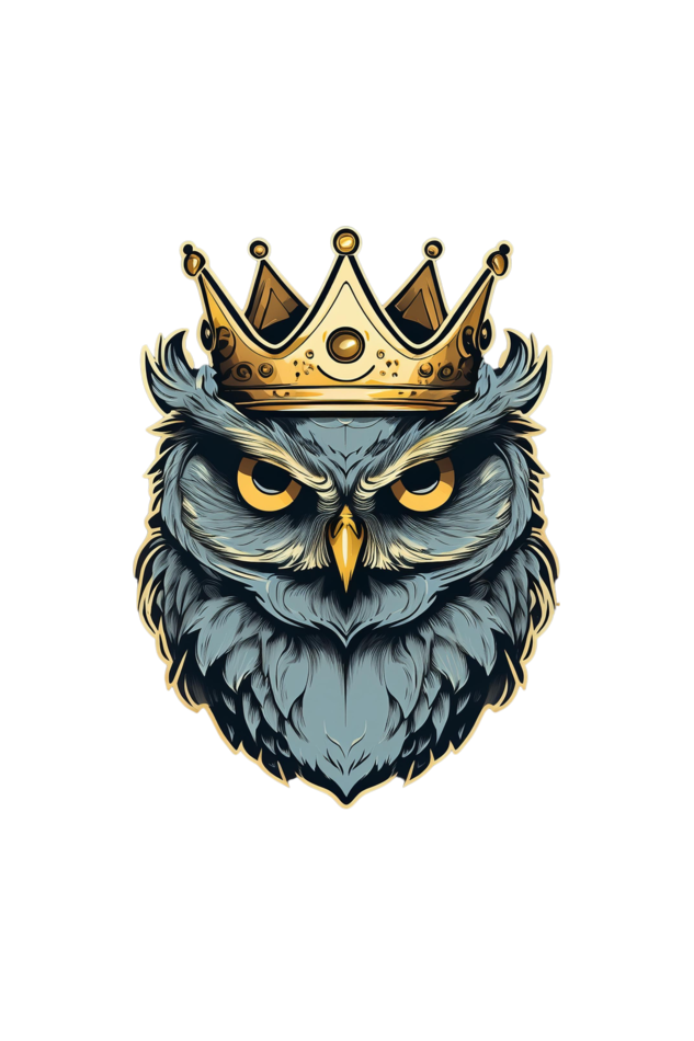 Crowned Owl acid-washed hoodie